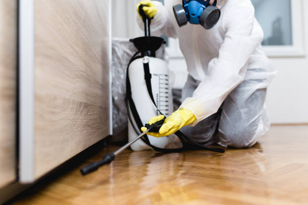 Best Pest Control for Restaurants  in Catasauqua, PA