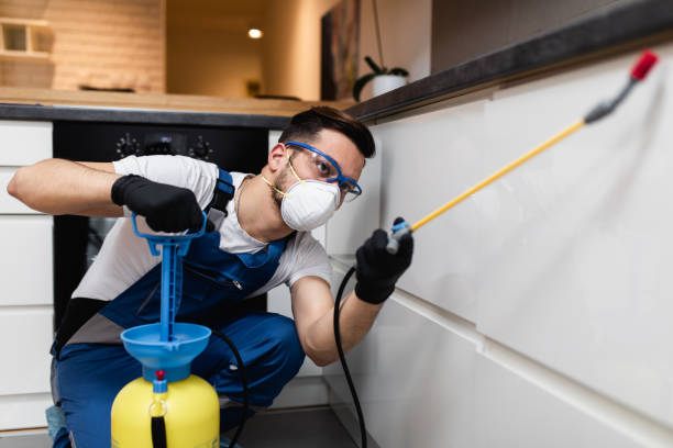 Best Wasp Removal Services  in Catasauqua, PA