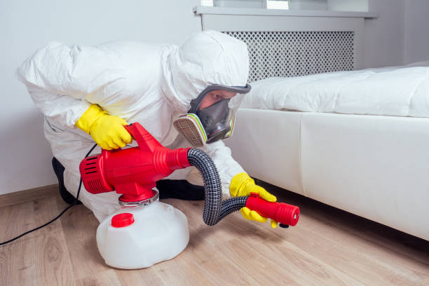 Trusted Catasauqua, PA Pest Control Experts