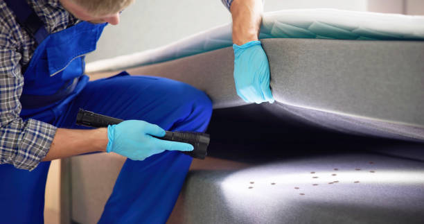 Best Mosquito Control Services  in Catasauqua, PA